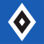 Hamburger SV